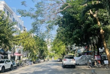 vi-tri-shop-tren-duong-le-van-thiem-quan-7