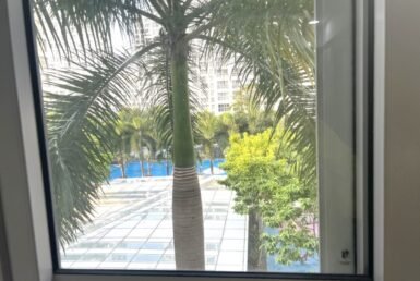 view-cua-so