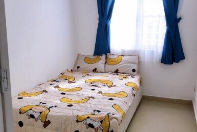 cho-thue-can-ho-sky-garden-2 (4)