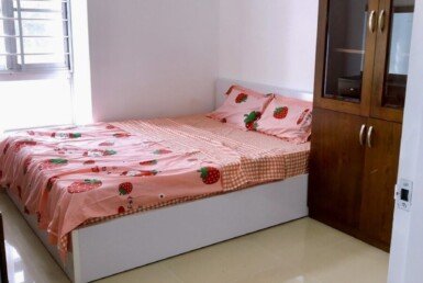 cho-thue-can-ho-sky-garden-2 (6)