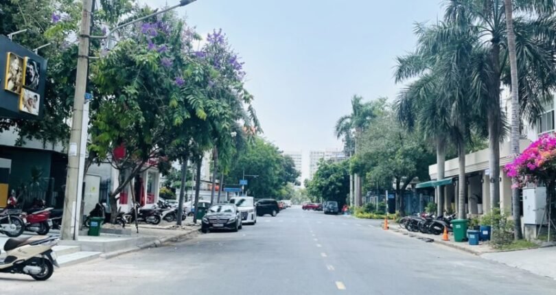 duong nguyen binh quan 7 810x430 - Giá thuê nhà Biệt thự đơn lập góc đường Nguyễn Bính và Nội khu Mỹ Hoàng Phú Mỹ Hưng Quận 7 T4/2024