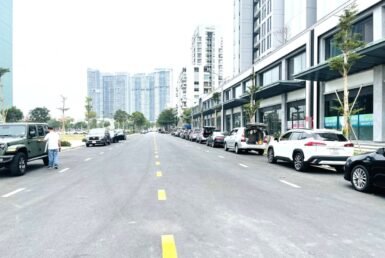 duong-noi-khu-cardinal-court