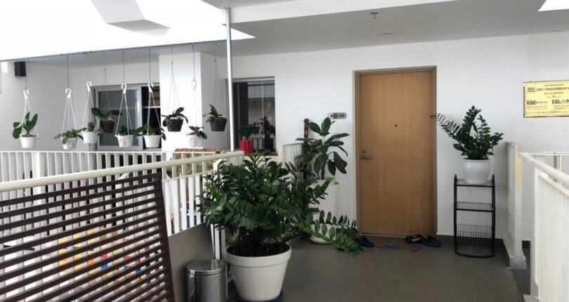 khuon vien san vuon can ho cho thue 810x430 - Bán căn hộ chung cư Scenic Valley 2, 101m2, giá 5.550 tỷ, nội thất đầy đủ, xem nhà dễ.