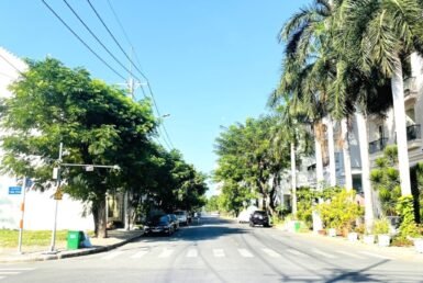 mat-duong-so-22-phuong-tan-phu-quan-7