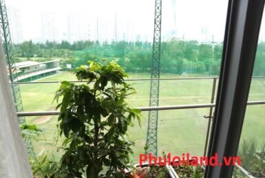 view-can-ho-cho-thue