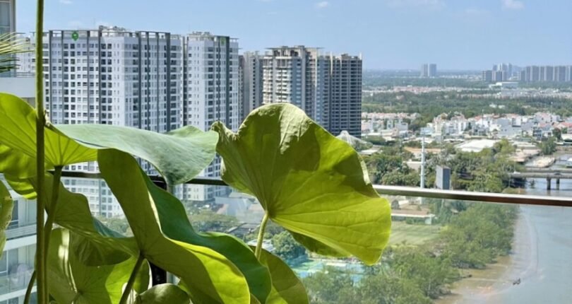 view song truc dien 810x430 - Giá mua bán Penthouse Block B Chung cư Riverpark Residence Quận 7 T5/2024