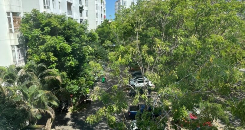can ho truc dien cong vien noi khu 810x430 - Giá mua bán căn hộ 3 phòng ngủ Chung cư Mỹ Viên Quận 7 T5/2024