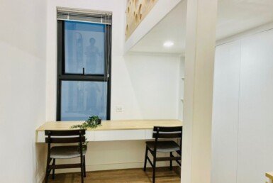 cho-thue-can-ho-hung-phuc-permier (9)