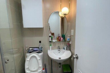 cho-thue-can-ho-sky-garden-3 (8)