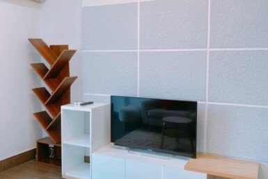 cho-thue-can-ho-sky-grden-1 (7)