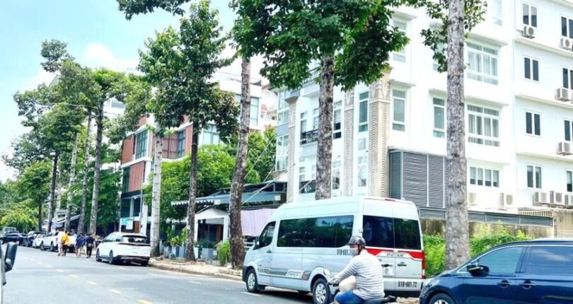 duong dang dai do 810x430 - Giá mua bán đất nền góc đường Cao Triều Phát và Đặng Đại Độ Phú Mỹ Hưng Quận 7 T6/2024