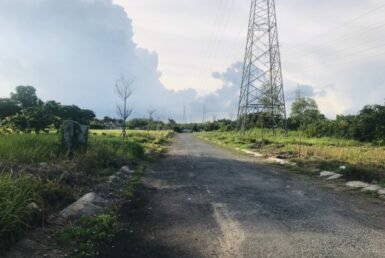 duong-noi-khu-bao-long-nha-be
