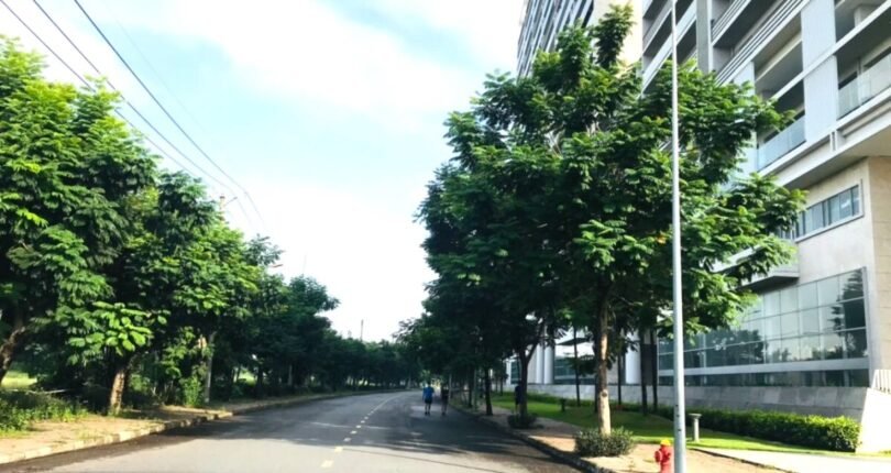 duong ton dat tien quan 7 810x430 - Giá mua bán căn hộ 3 phòng ngủ block B Chung cư Scenic Valley Tôn Dật Tiên Quận 7 T5/2024
