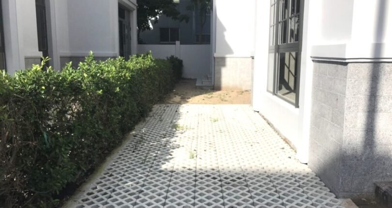 san vuon ben hong biet thu 810x430 - Giá mua bán nhà Biệt thự song lập Amelie Villa Phú Mỹ Hưng t5/2024
