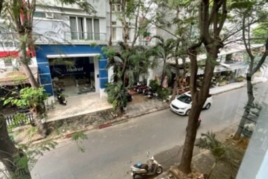 vi-tri-nha-mat-duong-noi-khu-hung-phuoc-3