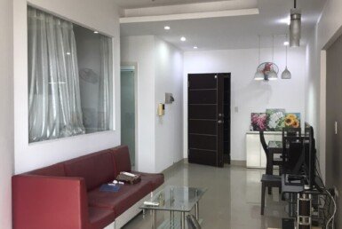 cho-thue-can-ho-sky-garden-3 (3)