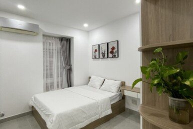 cho-thue-can-ho-sky-garden-3 (7)