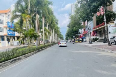 duong-nguyen-thi-thap-quan-7