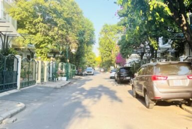 duong-noi-khu-hung-thai-1-quan-7