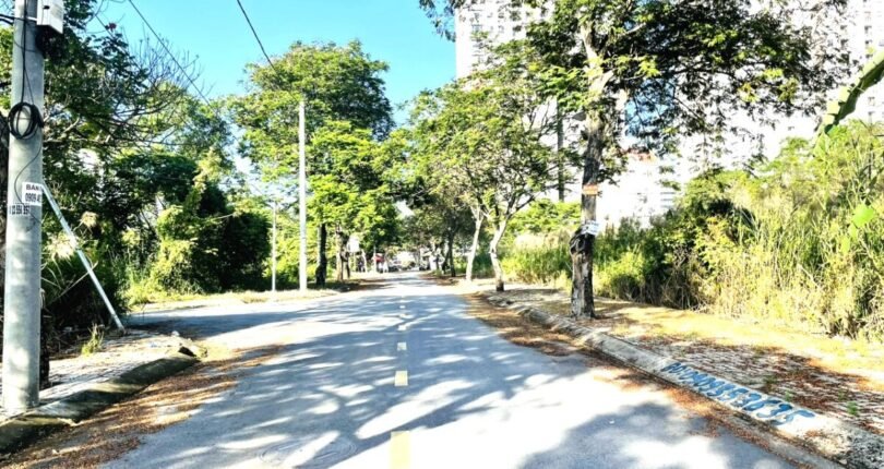 duong noi khu tan an huy phuoc kien nha be 810x430 - Giá mua bán đất nền số C81 Khu dân cư Tân An Huy Nhà Bè T6/2024