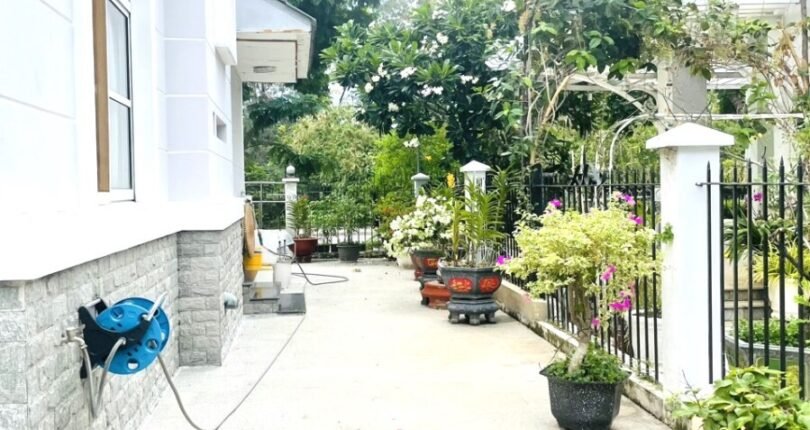 san vuon ben hong 810x430 - Giá mua bán nhà Biệt thự đường Nguyễn Đổng Chi Khu phố Hưng Thái 2 Quận 7 T6/2024