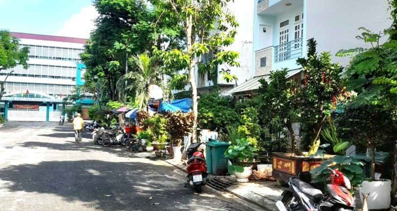 vi tri dat toa lac tren duong so08 810x430 - Giá mua bán đất nền số 45 Đường số 8 Khu dân cư Ven Sông Quận 7 T6/2024