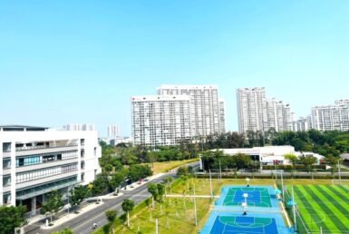 can-ho-truc-dien-san-bong-ro-truong-dinh-thien-ly