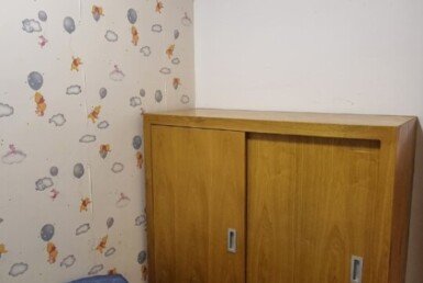 cho-thue-can-ho-sky-garden-3 (2)