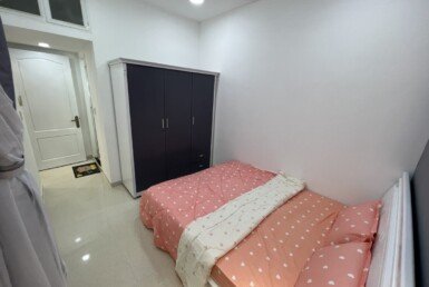 cho -thue-can-ho-sky-garden-3 (4)