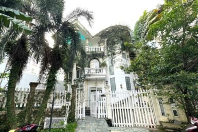 hinh-anh-cho-thue-biet-thu-phu-my-hung-co-ho-boi-t7-2024