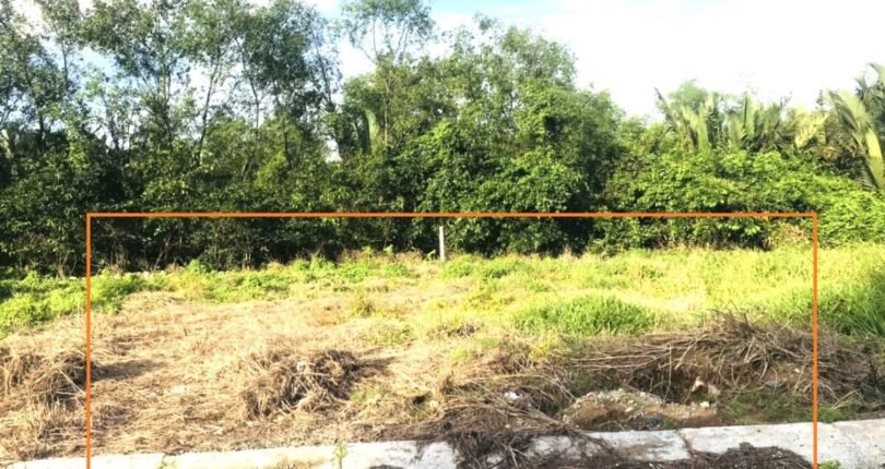 hinh anh mua ban dat nen biet thu kdc bao long nha be t8 2024 810x430 - Giá mua bán đất nền biệt thự Khu dân cư Bảo Long Nhà Bè T8/2024