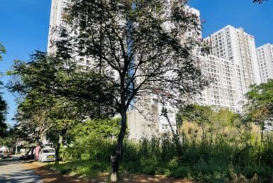 hinh-anh-mua-ban-dat-nen-kdc-tan-an-huy-nha-be-t7-2024