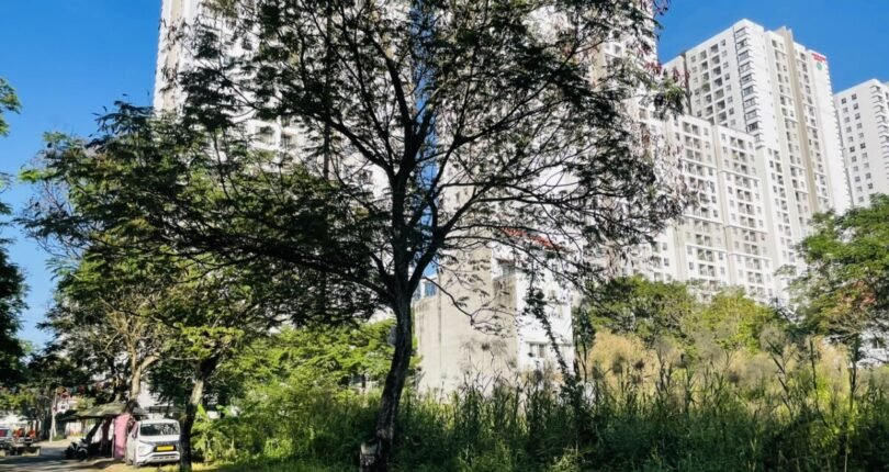 hinh anh mua ban dat nen kdc tan an huy nha be t7 2024 810x430 - Giá mua bán đất nền lô C9 Khu dân cư Tân An Huy Nhà Bè T7/2024