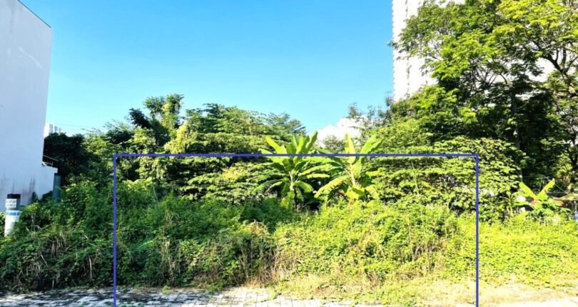 hinh anh mua ban dat nen kdc tan an huy nha be t8 2024 810x430 - Giá mua bán đất nền Biệt thự Khu dân cư Tân An Huy Nhà Bè T8/2024