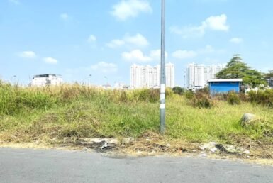 hinh-mua-ban-dat-nen-thai-son1-nha-be