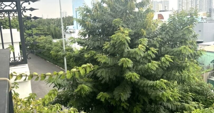 nha cho thue lien ke cong vien noi khu 1 810x430 - Giá cho thuê nhà Biệt thự liền kề 5pn Kdc Green Star Sky Garden Hưng Lộc Phát Q7
