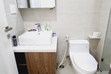 tollet-can-ho-cho-thue