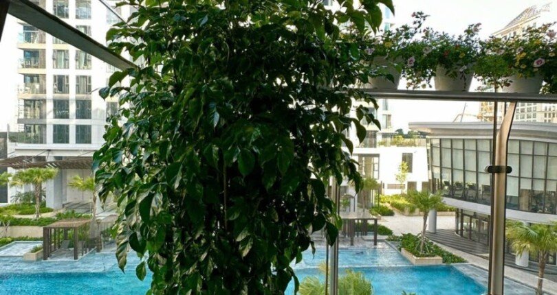 IMG 3176 1 810x430 - Bán căn hộ Cardinal court 3PN – PMH Quận 7 dt 100m 3 phòng full nội thất chỉ 11 tỷ