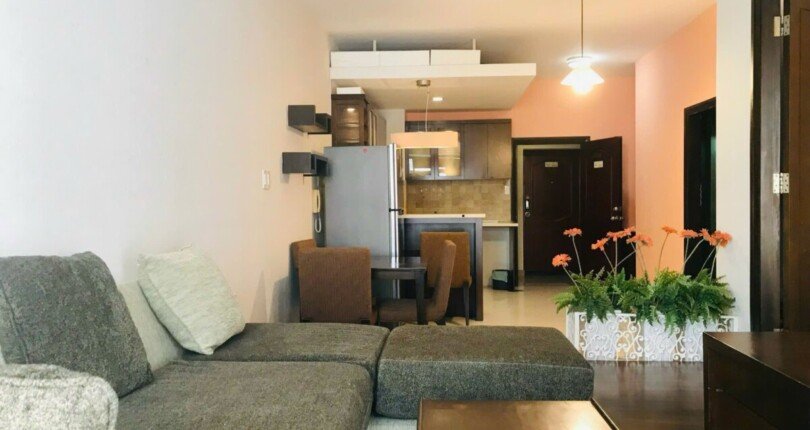 IMG 3368 810x430 - Cho thuê căn hộ 1PN Sky Garden giá chỉ 13 tr/th.