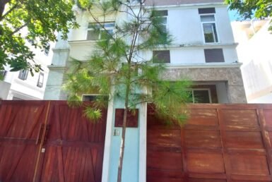 can-can-nha-biet-thu-cho-thue