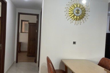 cho-thue-can-ho-midtown (9)