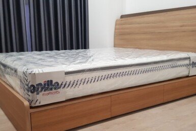 cho-thue-can-ho-sky-garden-3 (5)