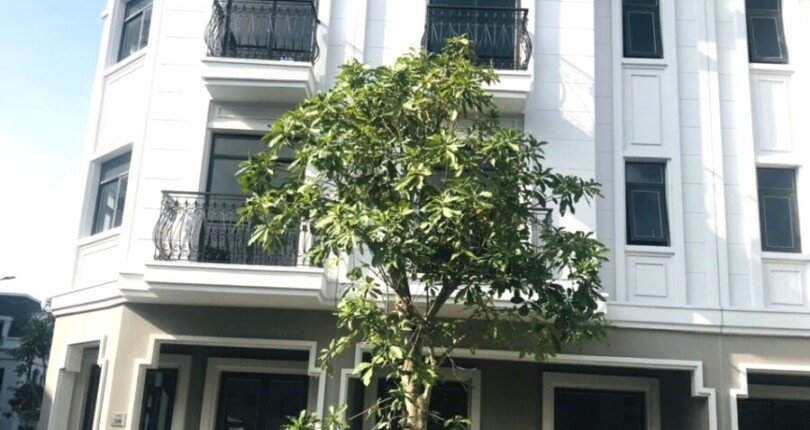 hinh anh nha biet thu goc hai mat duong can ban 810x430 - Giá mua bán nhà biệt thự góc hai mặt đường 158m2, kiểu nhà C8 Kdc Amelie Villa T9/2024