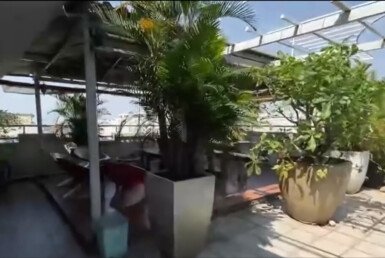 san-thuong-can-ho-ban