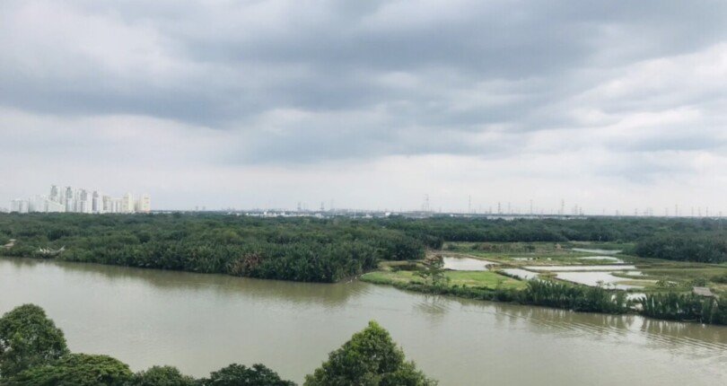 can ho nhin song 810x430 - Giá mua bán căn hộ 3pn Chung cư The Panorama 3 Phú Mỹ Hưng Quận 7 T9/2024