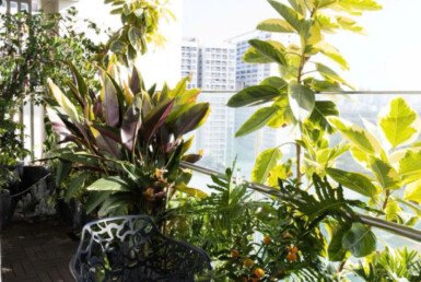 cho-thue-can-ho-green-valley (19)