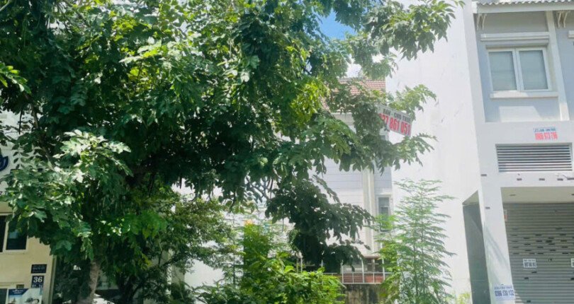 hinh anh mua ban dat nen dang duc thuat phu my hung quan 7 t10 2024 810x430 - Giá mua bán đất nền đường Đặng Đức Thuật Phú Mỹ Hưng Quận 7 T10/2024