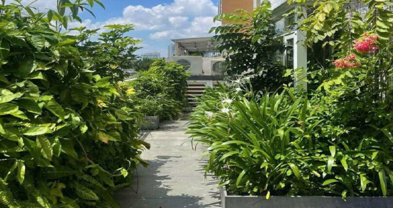 san vuon can ho ban 810x430 - Bán gấp căn hộ sân vườn chung cư Riverside Residence Phú Mỹ Hưng Quận 7