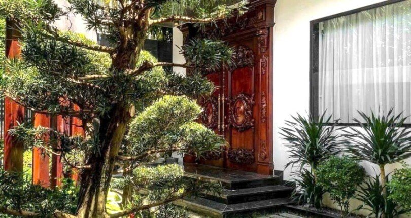 san vuon nha biet thu cho thue 810x430 - Giá cho thuê nhà Biệt thự đơn lập có hồ bơi Khu Nam Thiên 2 Phú Mỹ Hưng Quận 7 T9/2024