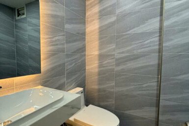 toilet-sang-trong-nhu-hinh